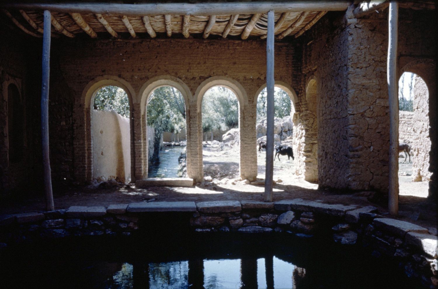 Chashmah-i Iskandariyyah in Niyasar