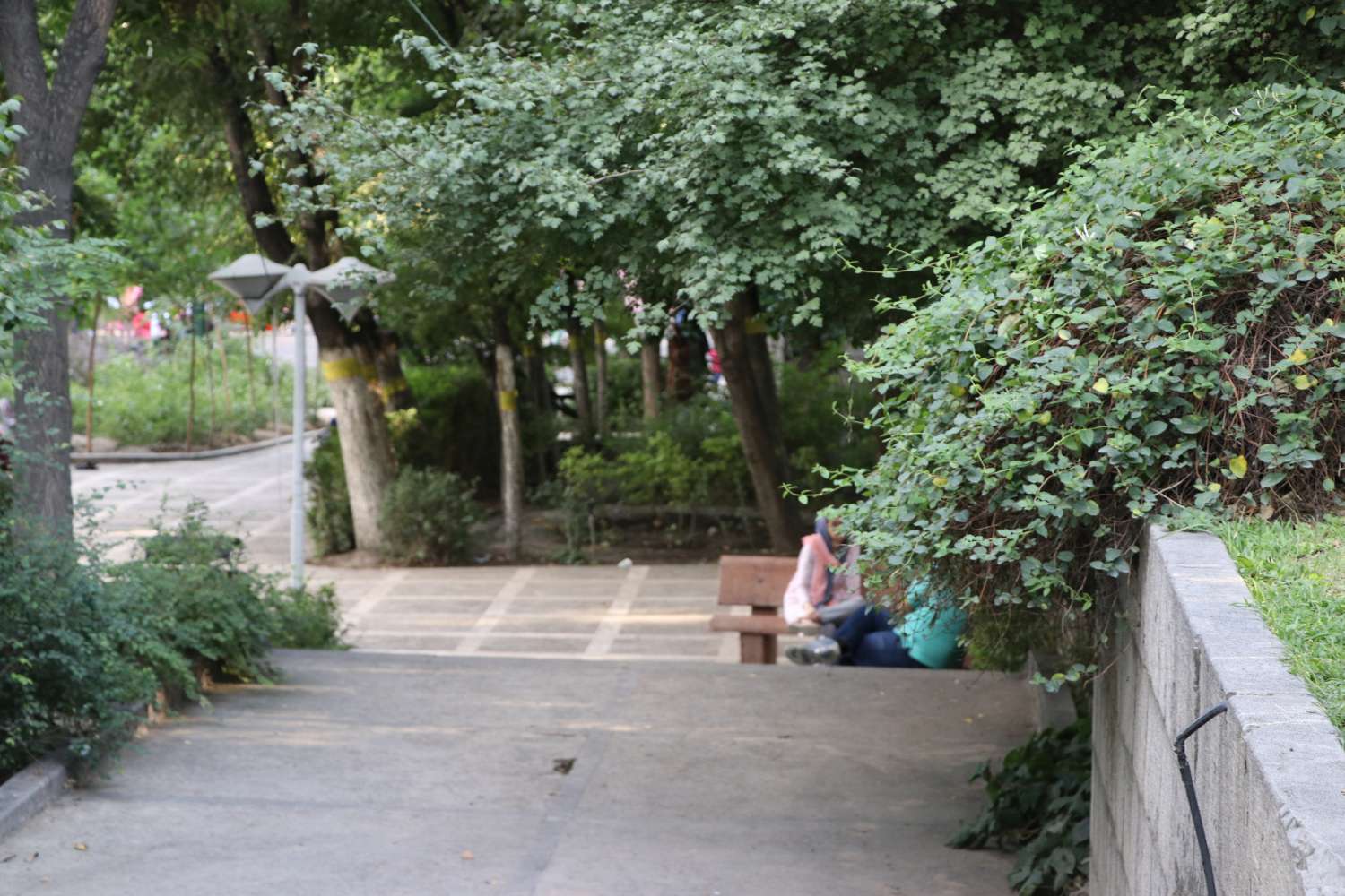 Bustan-i Jamshidiyah in Tehran