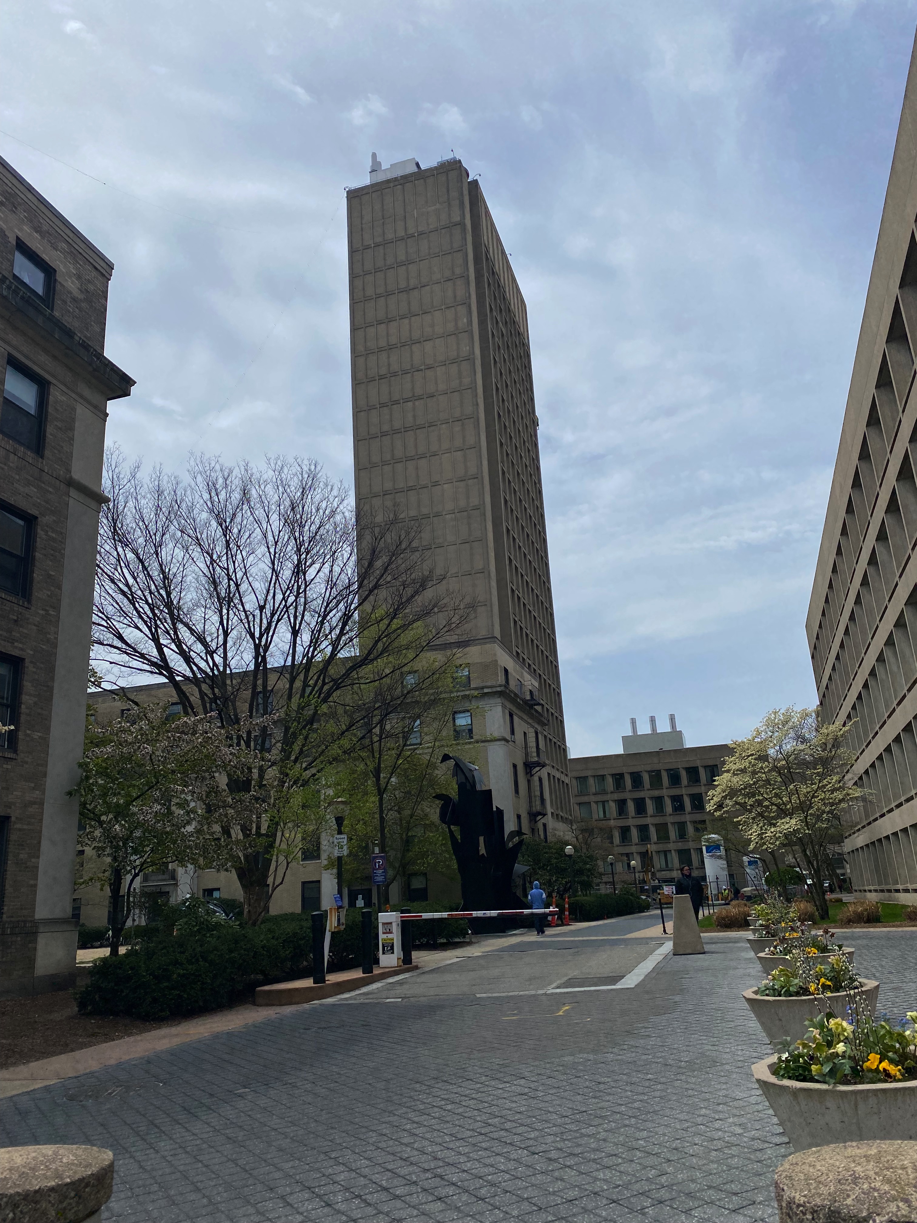 ساختمان سسیل و آیدا گرین in کمبریج