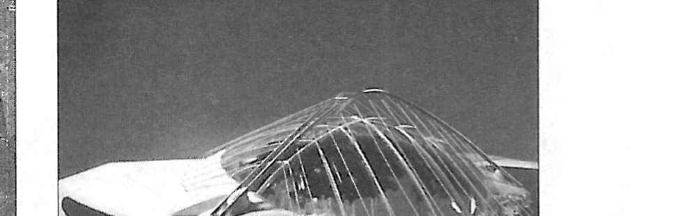 Guggenheim Greenhouse dome model