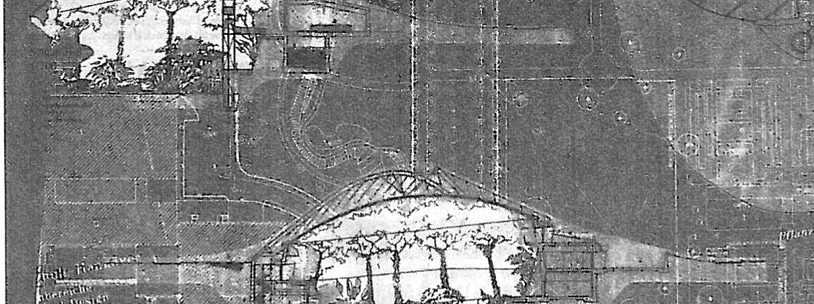 Guggenheim Greenhouse site plan and dome section