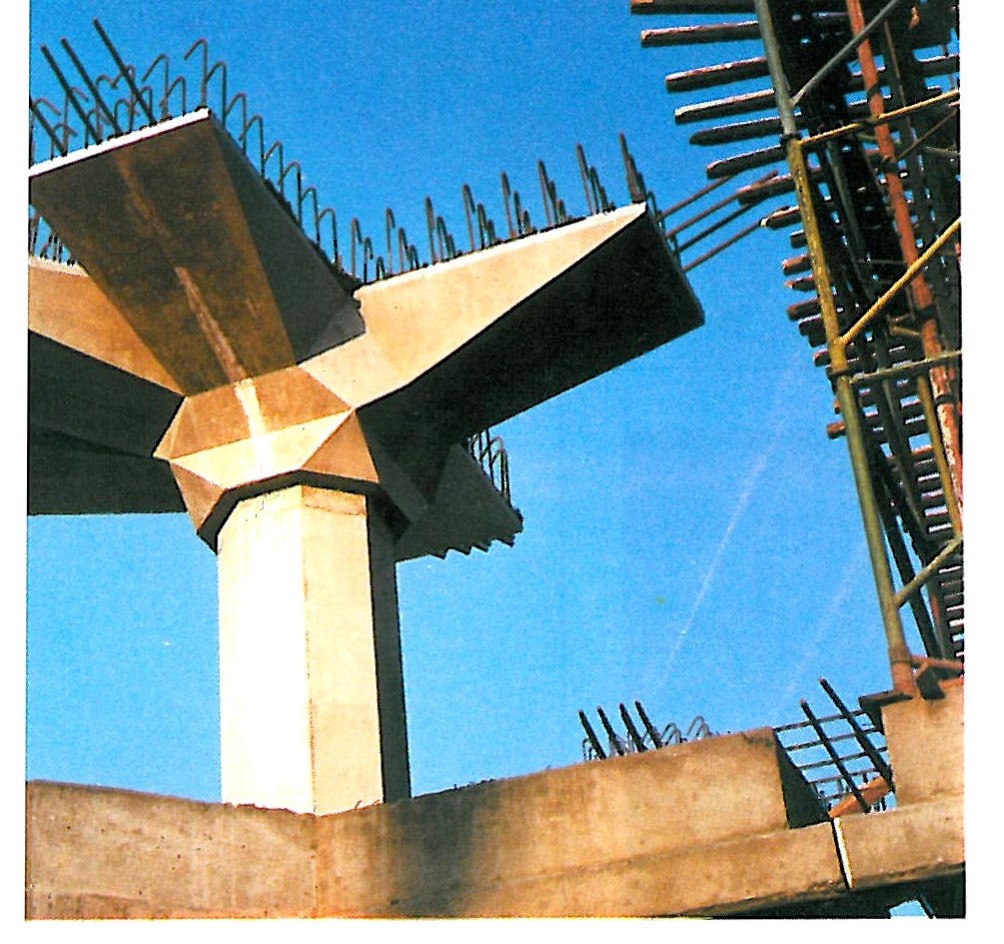 nl capital detail