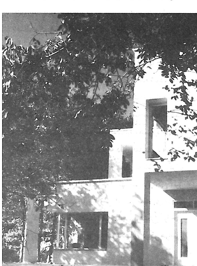 mirshahidi house view a