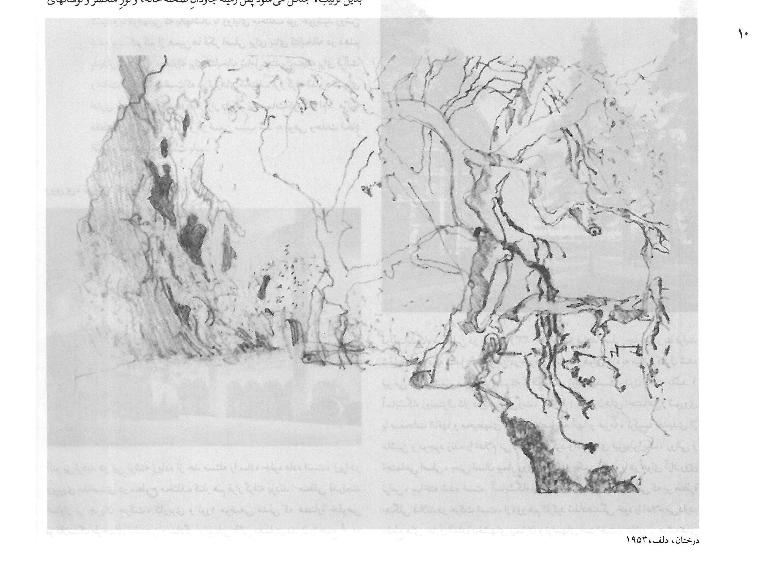Trees, Delphi, 1953