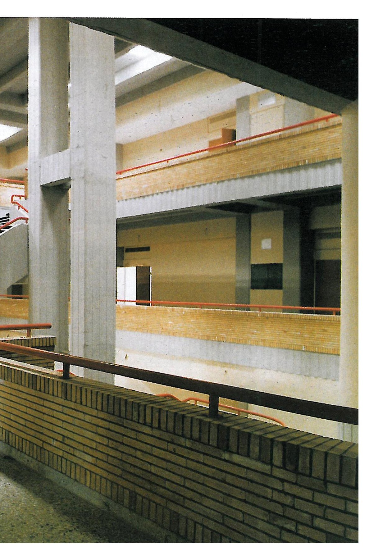 Alireza Afzalipour Faculty of Basic Medical Sciences, Kerman
