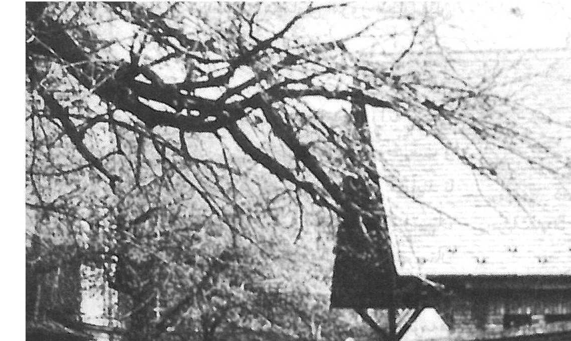 Gábor Turányi, rectory of the Óbuda-Újlak parish, Budapest, 1987
