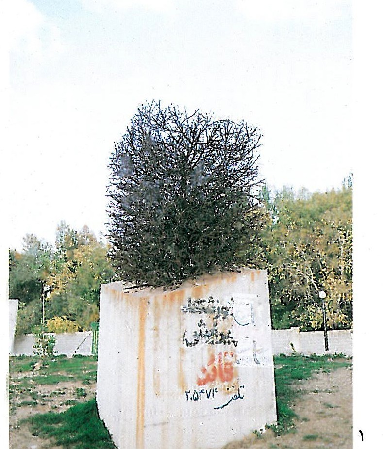 تندیس پائیز. باغ بلند