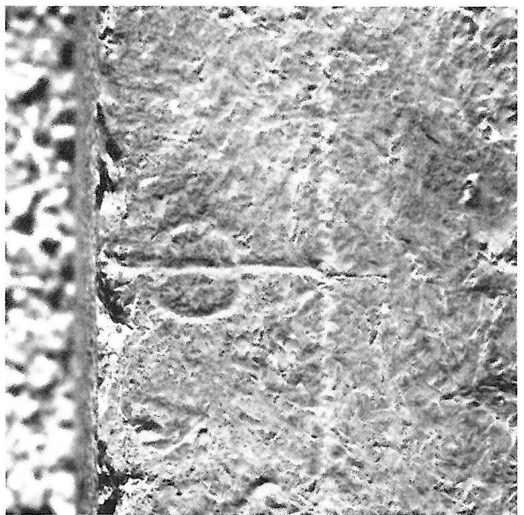 Marks incised on the stone in the Palace of Darius