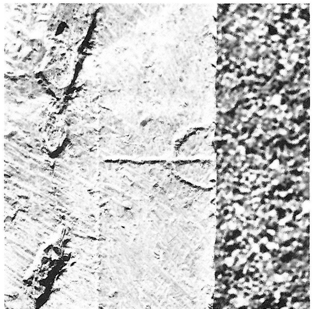 Marks incised on the stone in the Palace of Darius