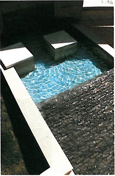 Hashemi's Residence — pool