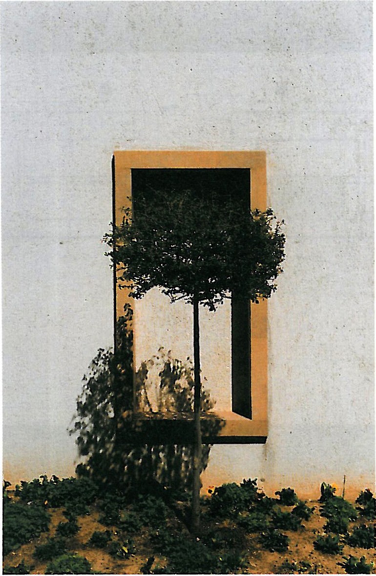 Hashemi's Residence — roof terrace