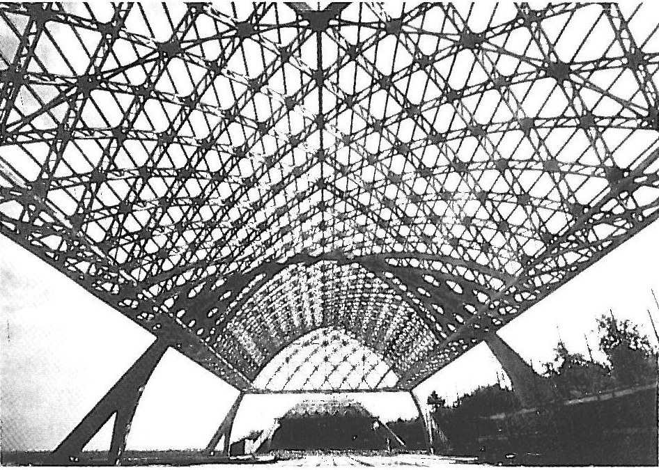 The lattice concrete vault of a Nervi aircraft hangar seen from below