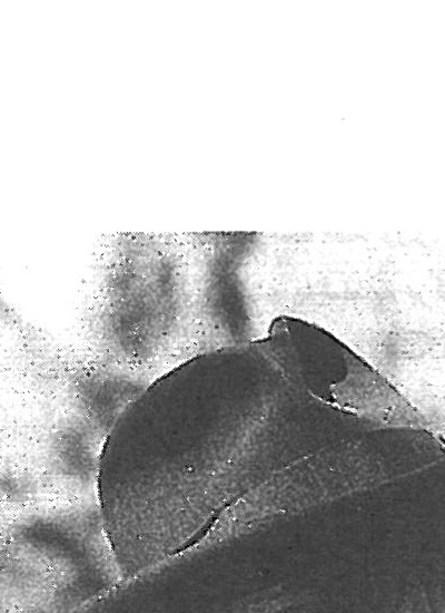 Alvar Aalto Centennial: Humanizing Architecture