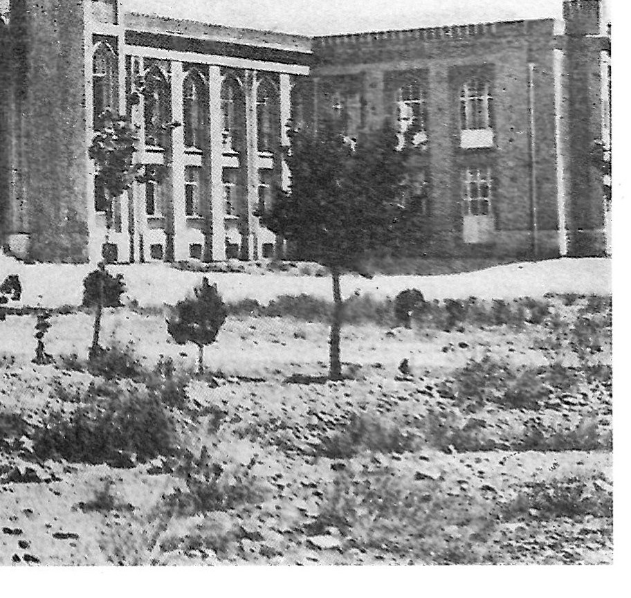 Alborz School and the Iranian-Islamic Style of Markoff