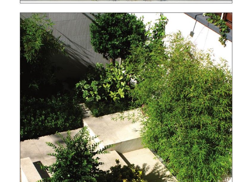 Manzarieh — recessed planter with mature shrubs at the building's base
