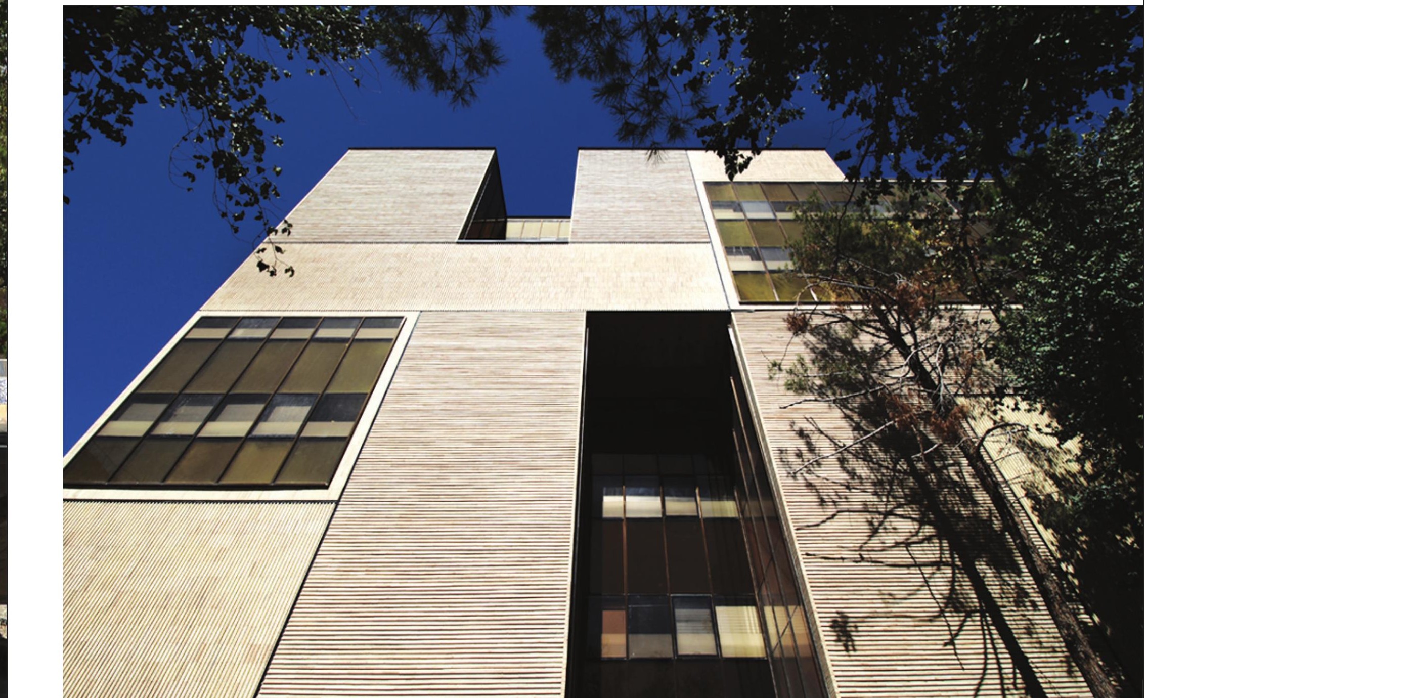 Courtyard with a tree looking up at the cantilevered louvered volume