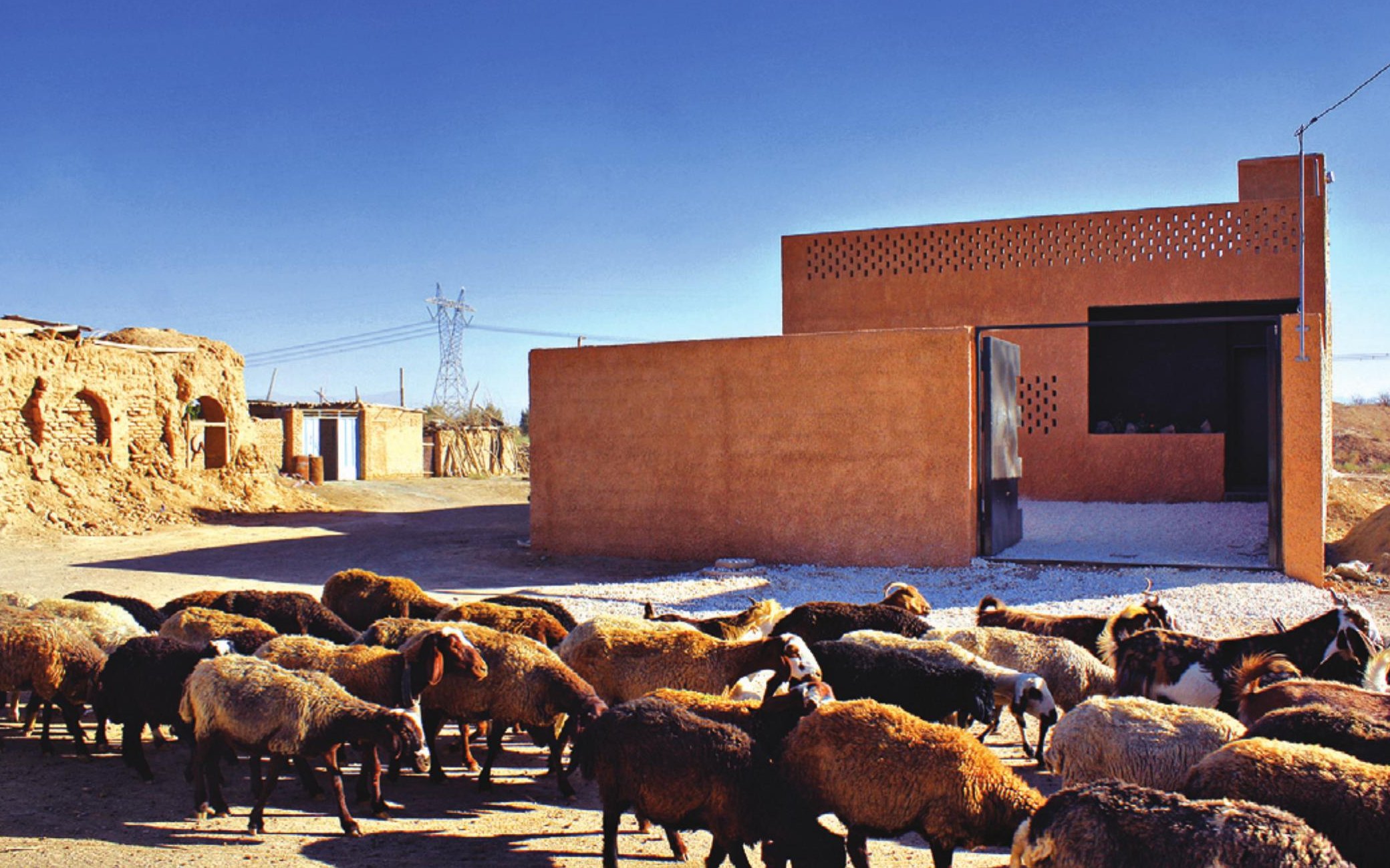 Sheep walking past the earthen-walled village street view of the house