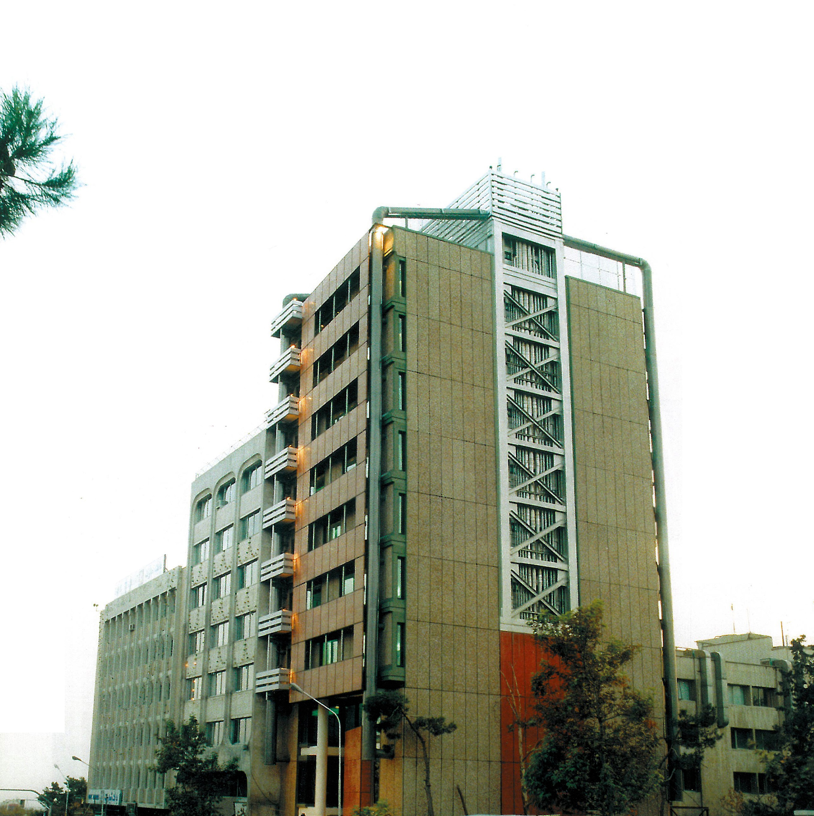 شامل محمدزاده: بعد شاعرانه تکنولوژی