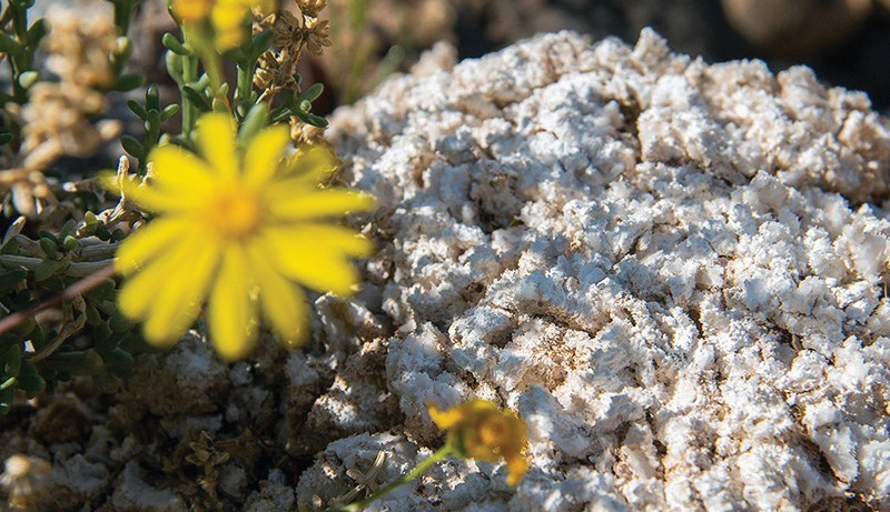 From Lian to Bushehr