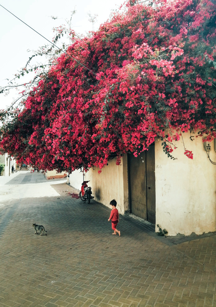 Hanging Around in Alleys of Breeze
