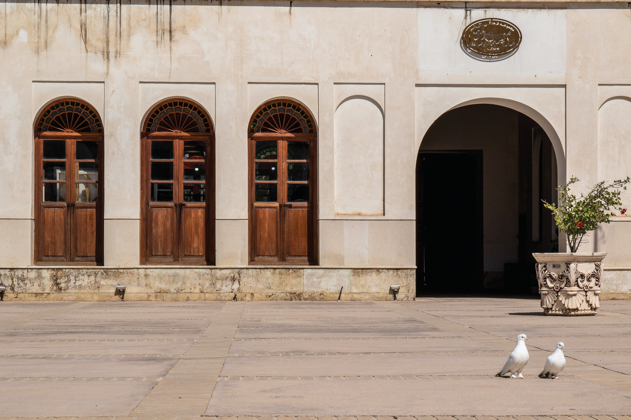 The school courtyard facade with arched wooden doors, a plaque above, and white doves on the ground