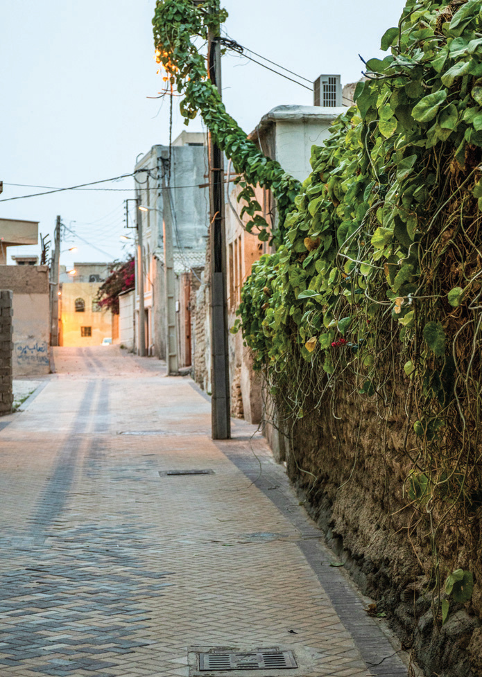 A vine-draped alley at dusk in old Bushehr