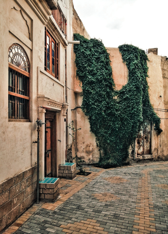 Alley in Bushehr's historic quarter with a wall covered in dense green ivy