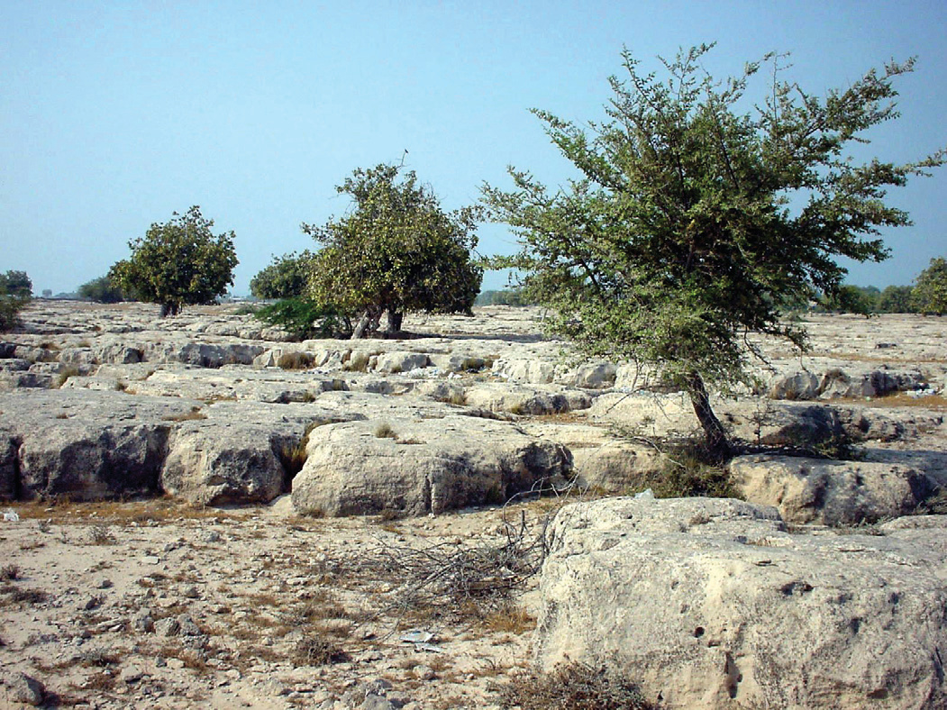 Rocky landscape with trees on Khark Island