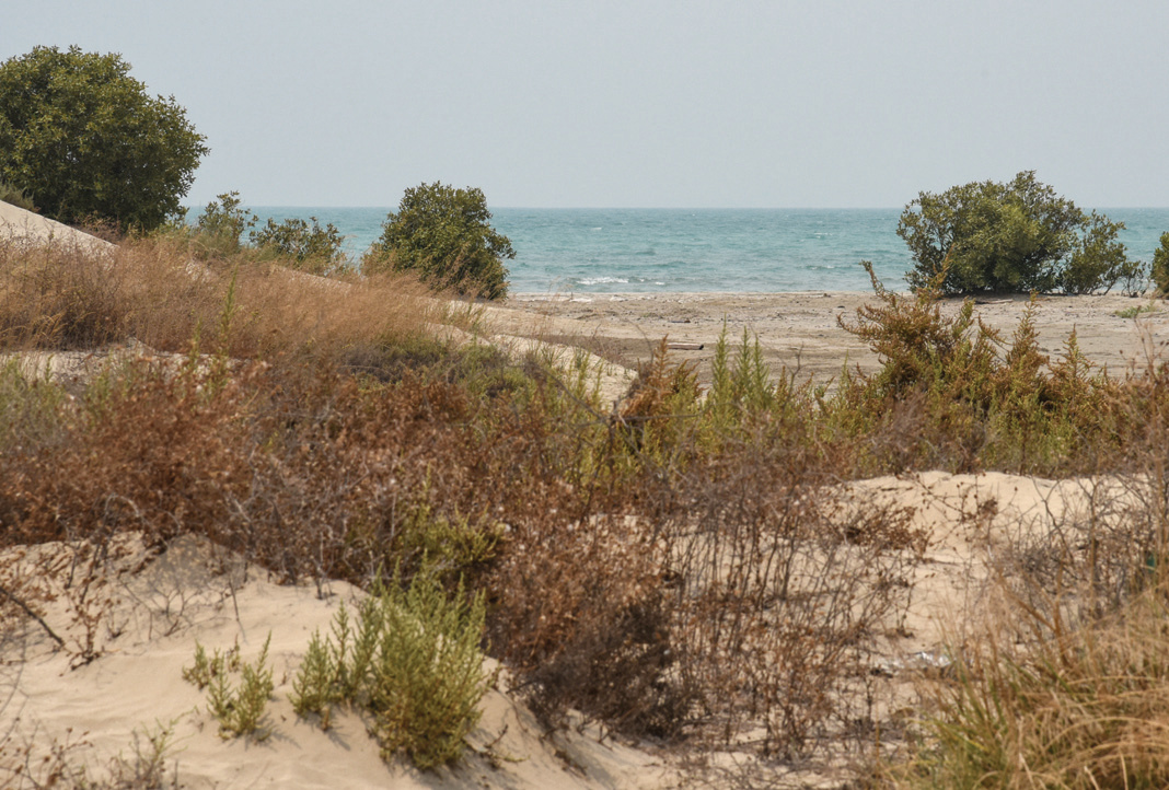 The pristine coastline of Nay Band with sand dunes and vegetation