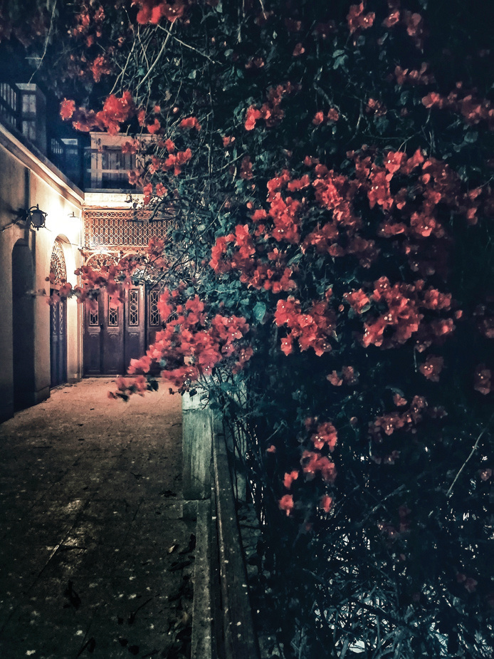 Night view of bougainvillea cascading over the pathway leading to illuminated arched doorways