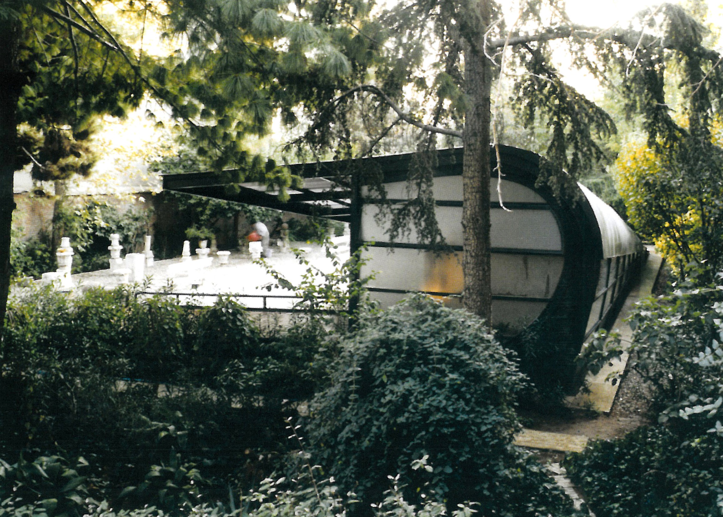 رضا دانشمیر: گالری سلمان و آثار هنری