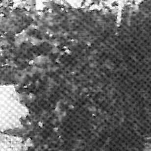 An Art Historical Analysis of the Guevrekian Houses in Tehran