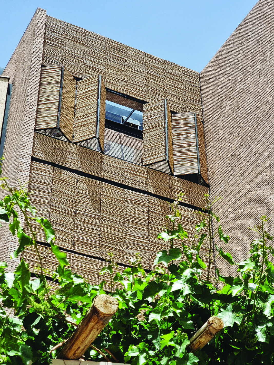 View from the courtyard looking up at the reed-panel facade with climbing vines growing along the building