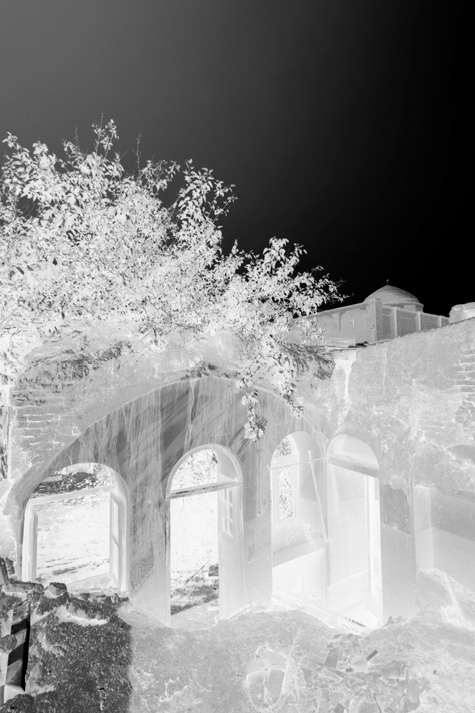 Negative photograph of the courtyard showing a tree and arched openings before renovation