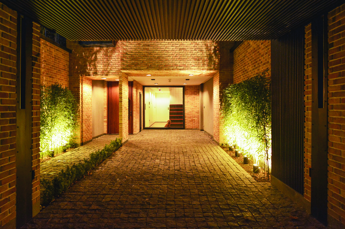 Night view of the entrance walkway — warm uplighting on brick walls, cobblestone path, and bamboo plants leading to the illuminated glass front door