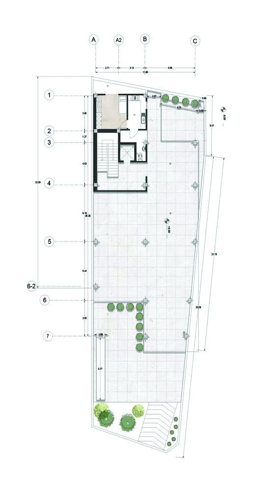 Roof plan showing the rooftop terrace, stairwell access, and planted areas