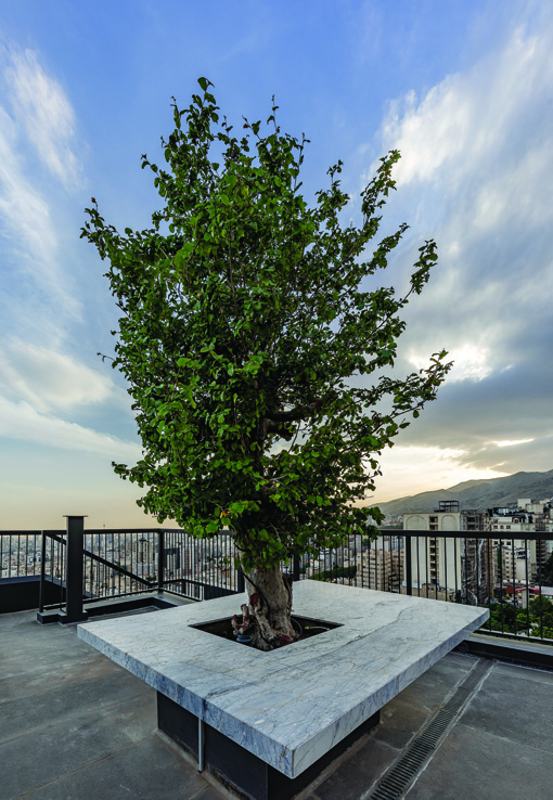 A mature tree growing through a marble platform on the rooftop of the Persica building, with Tehran's skyline and mountains in the background at sunset