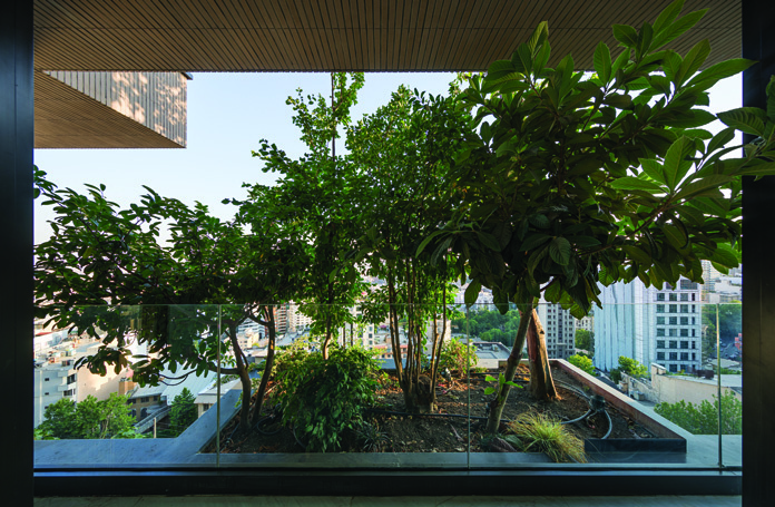 Dense planting on a terrace with mature trees, shrubs, and ground cover visible against the Tehran skyline and wooden ceiling overhang