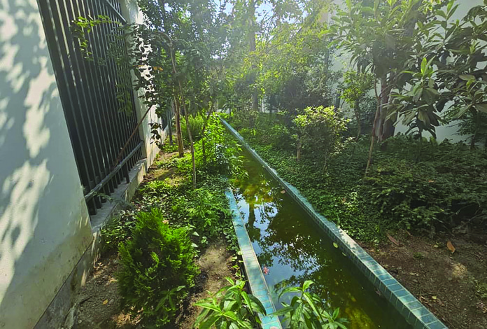 A narrow turquoise-tiled water channel running through dense garden planting along the edge of the building