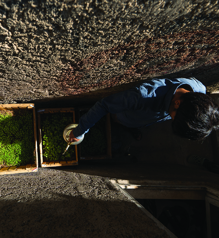 A worker watering plants outside the temporary house, with the curved concrete walls and corrugated roof visible, construction materials stacked nearby
