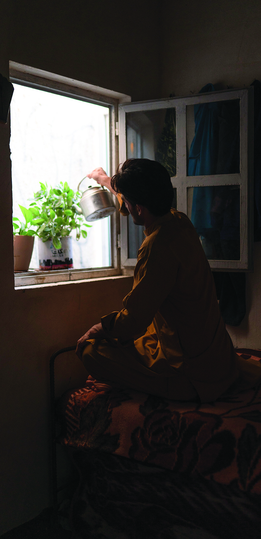 View through the window of a worker watering plants outside, the frame of the window creating an intimate domestic scene