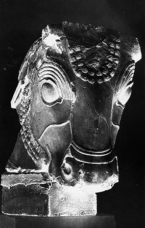 Archival photograph of a bull-head capital sculpture fragment from Bishapur, showing detailed carving