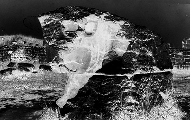 Archival photograph of a large carved stone bull fragment at the Bishapur archaeological site