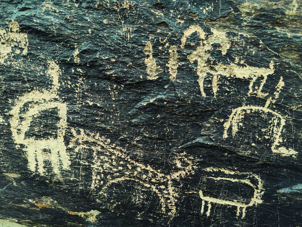 Petroglyphs at Darreh Negaran showing ibex and horse figures carved into dark slate
