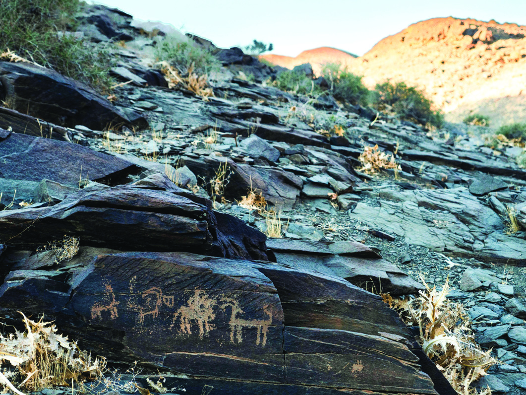 Petroglyphs at Darreh Negaran showing a caravan of animals including camels engraved on dark slate