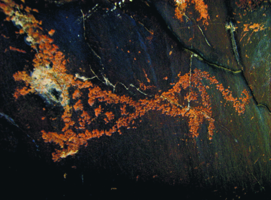 Painted ochre-red ibex and human figures on dark rock at Darreh Negaran, Baluchestan