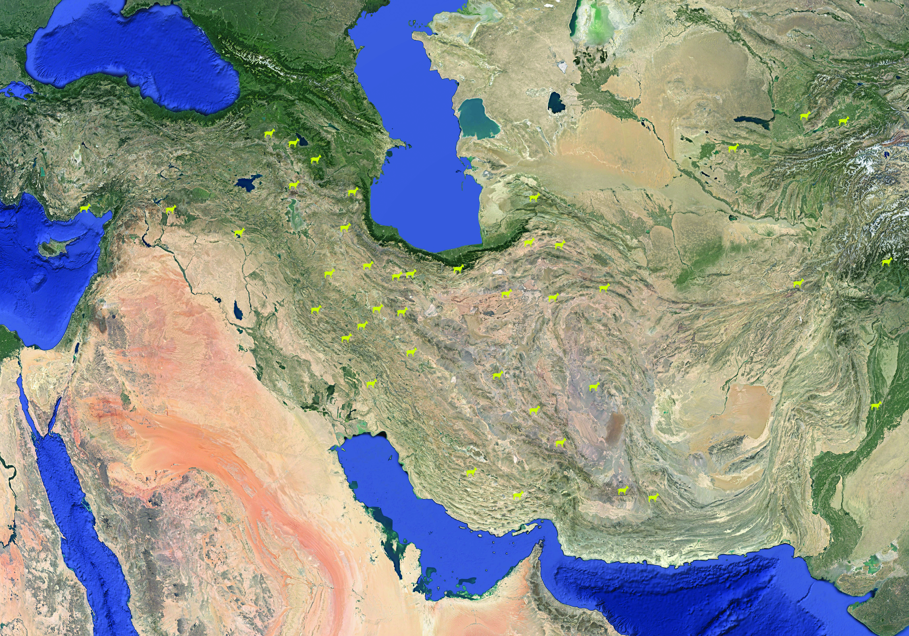 Rock Art of Greater Iran