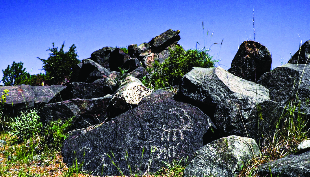 Dark rocks at the Hamedan petroglyph site amid vegetation with faint engravings visible