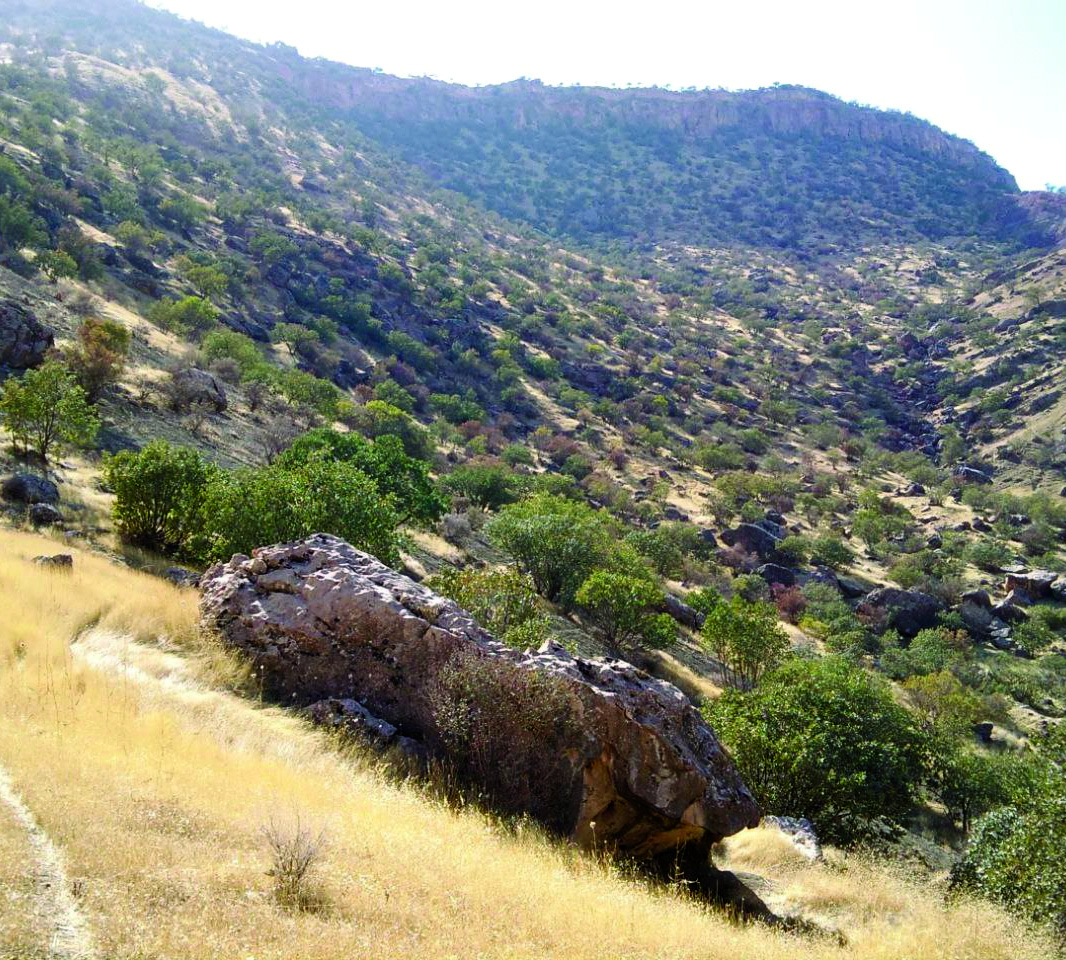 Green mountainous valley at Kouhdasht showing the Sang-e Mehrdad rock art site with Houmian Mountain in the background