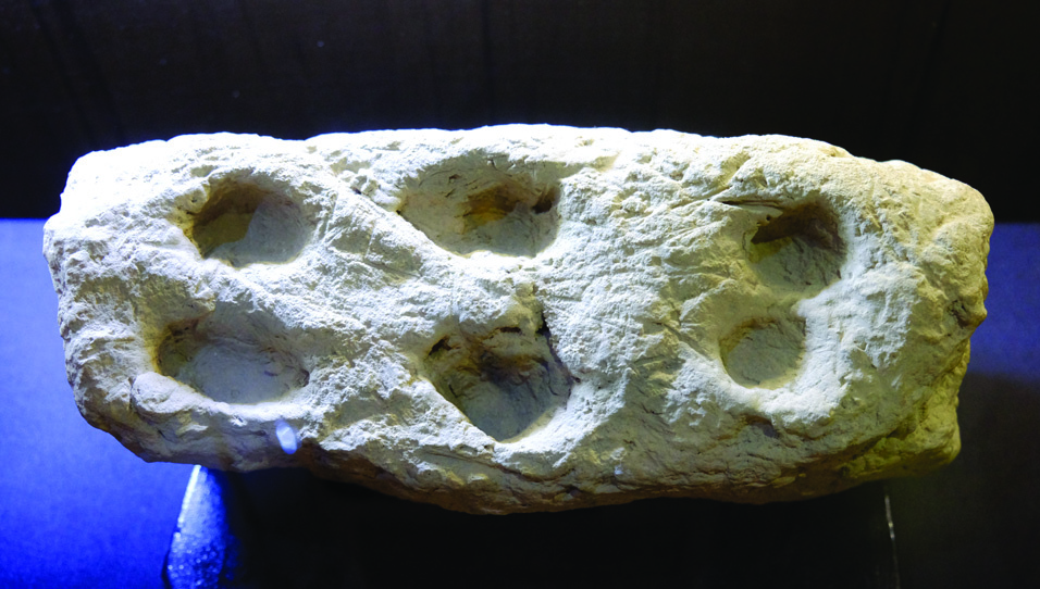 An ancient stone vessel with multiple hollowed circular compartments carved into its surface, displayed against a dark background